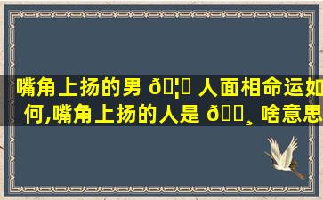 嘴角上扬的男 🦋 人面相命运如何,嘴角上扬的人是 🌸 啥意思